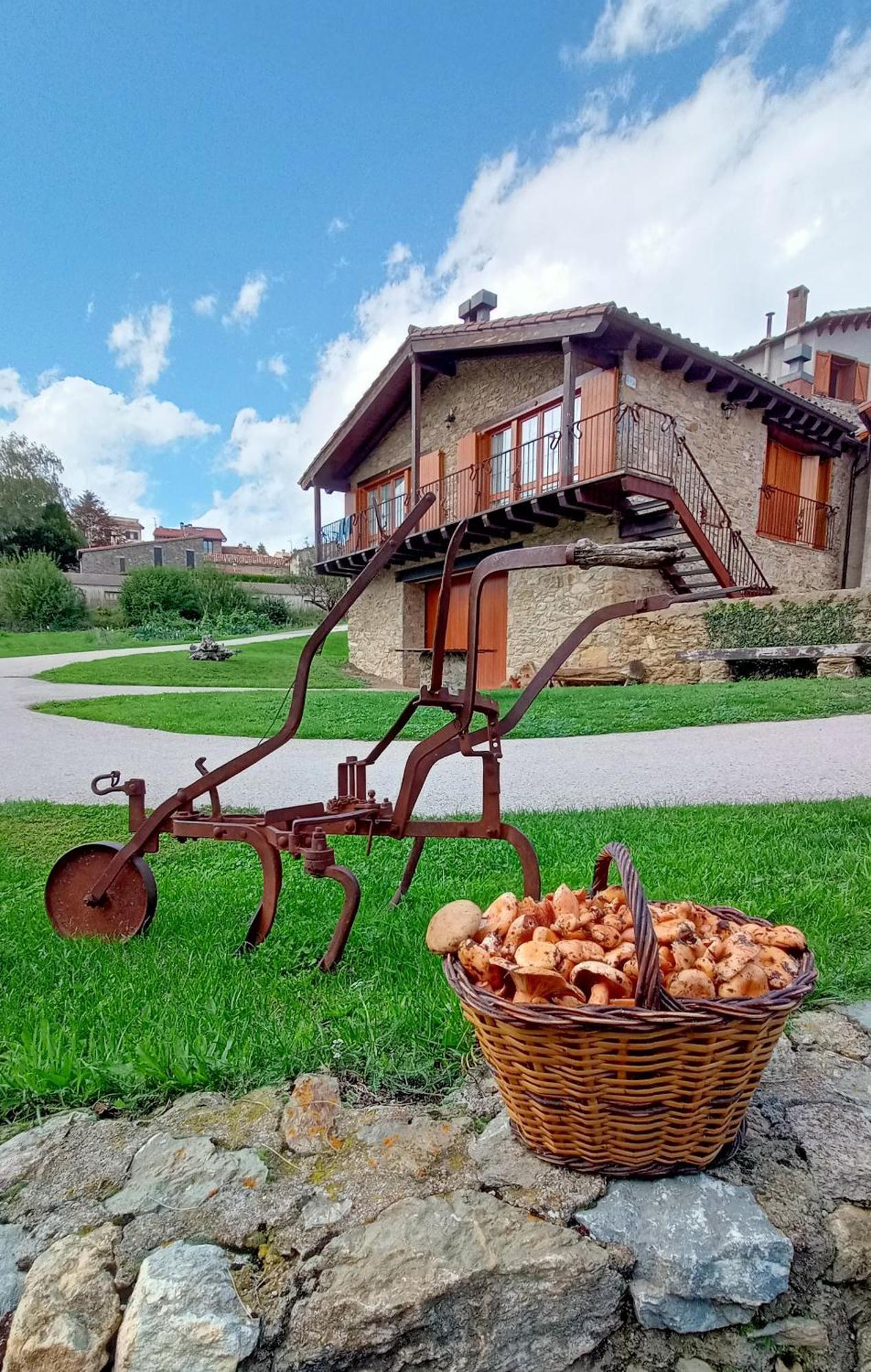 Can Tubau - Casa Rural - Apartaments Campelles Екстериор снимка