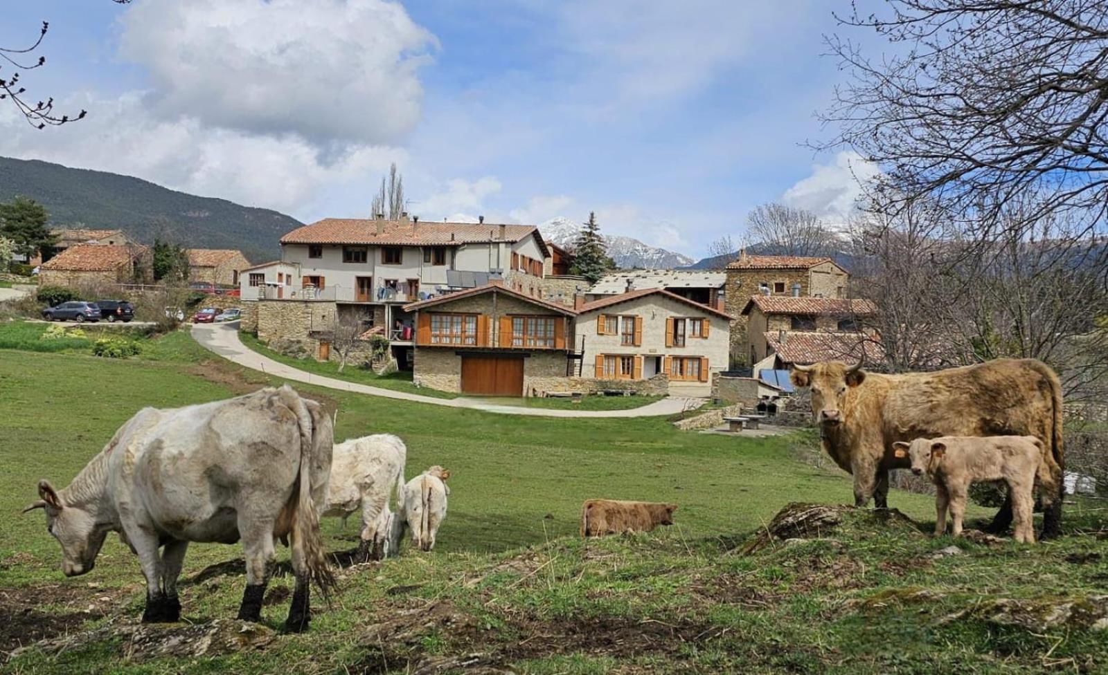 Can Tubau - Casa Rural - Apartaments Campelles Екстериор снимка